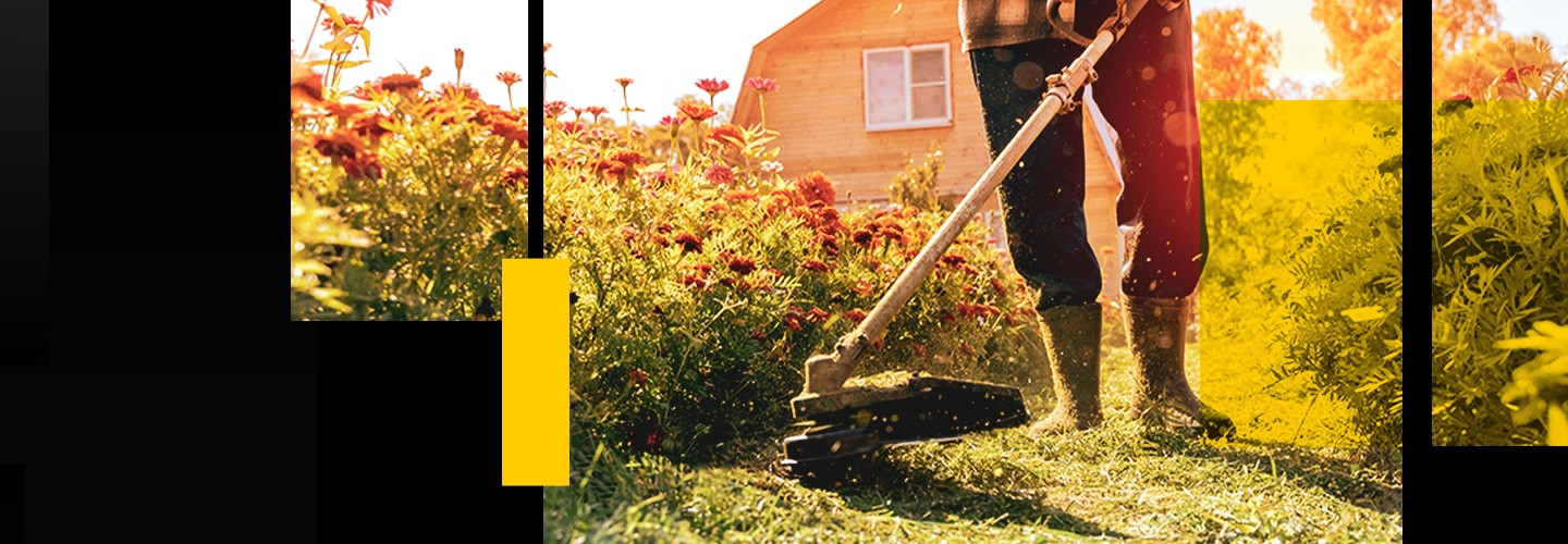 Θαμνοκοπτικά