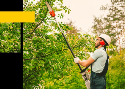 Κονταροπρίονα